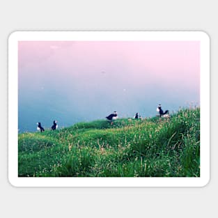 Puffins of Mykines Sticker